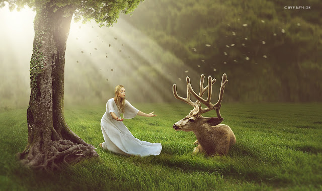 Rafy A Photoshop后期合成视频案例 梦幻鹿